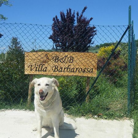 Petrignano B&B Villa Barbarossa المظهر الخارجي الصورة