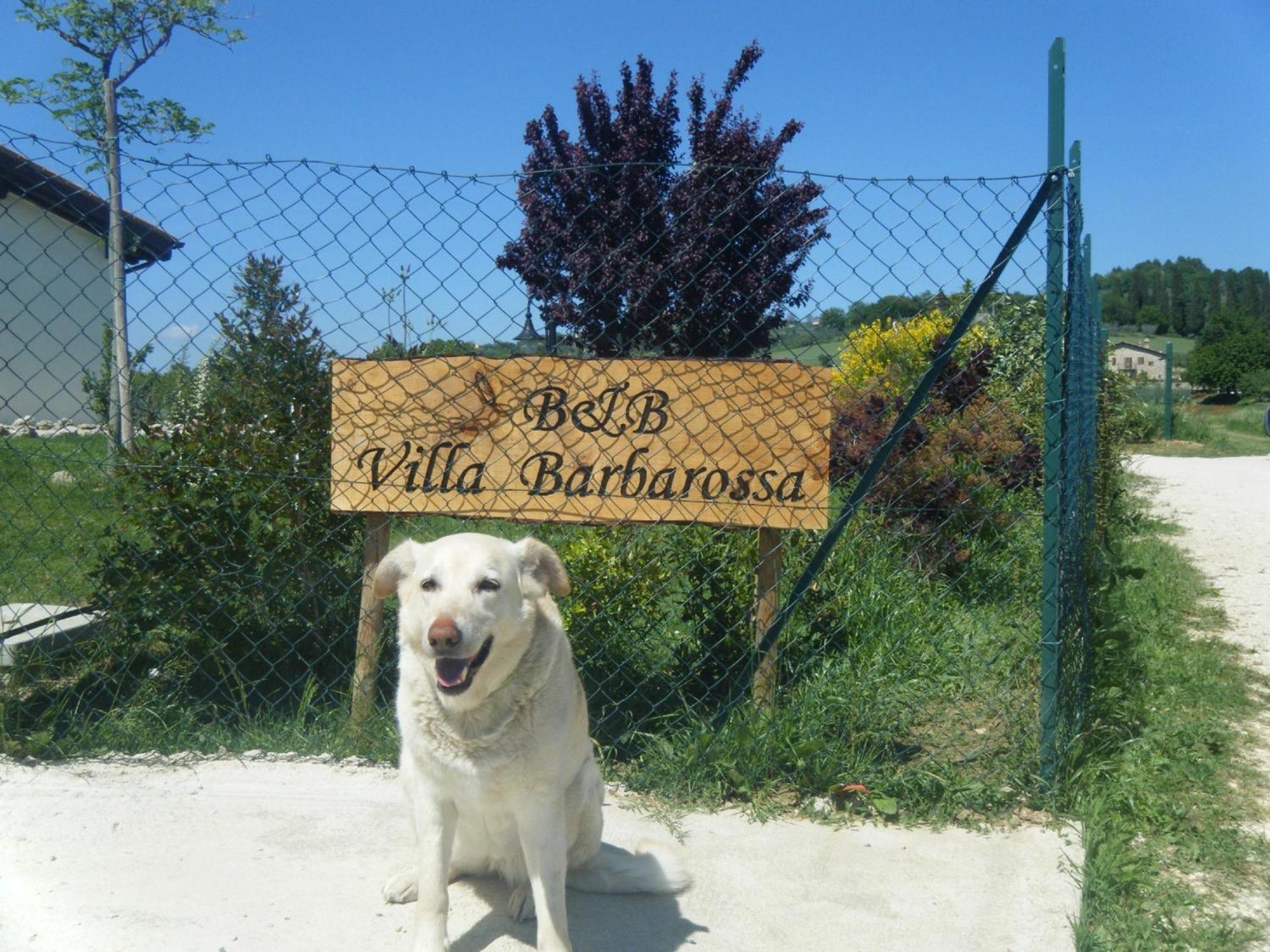 Petrignano B&B Villa Barbarossa المظهر الخارجي الصورة